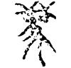 &84.E282;