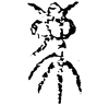 &84.E281;
